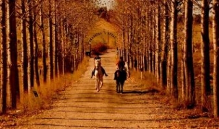 Paseos por la zona